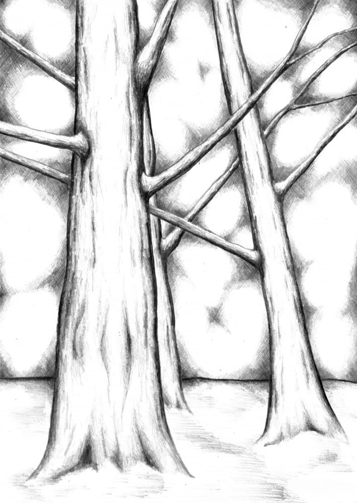 Ethereal Forest Light by Kulik — canvas wall art