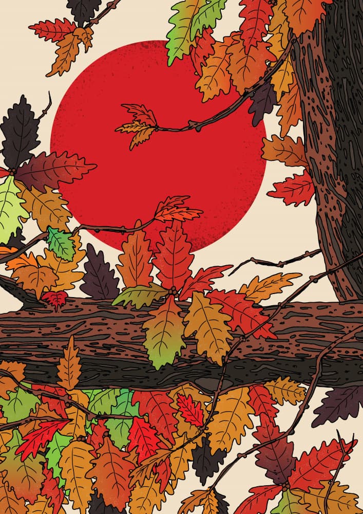 Autumn Oak Red Sun by Nicholas — canvas wall art