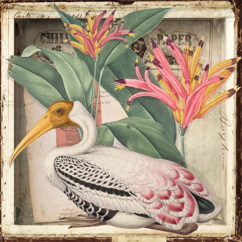 Vintage Tropical Bird Study by Marja van den Hurk — canvas wall art