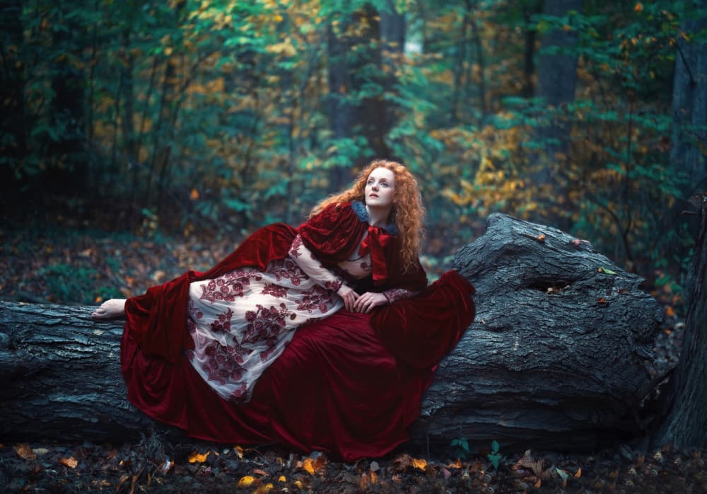Enchanted Forest Reverie by Catherine Wang — canvas wall art