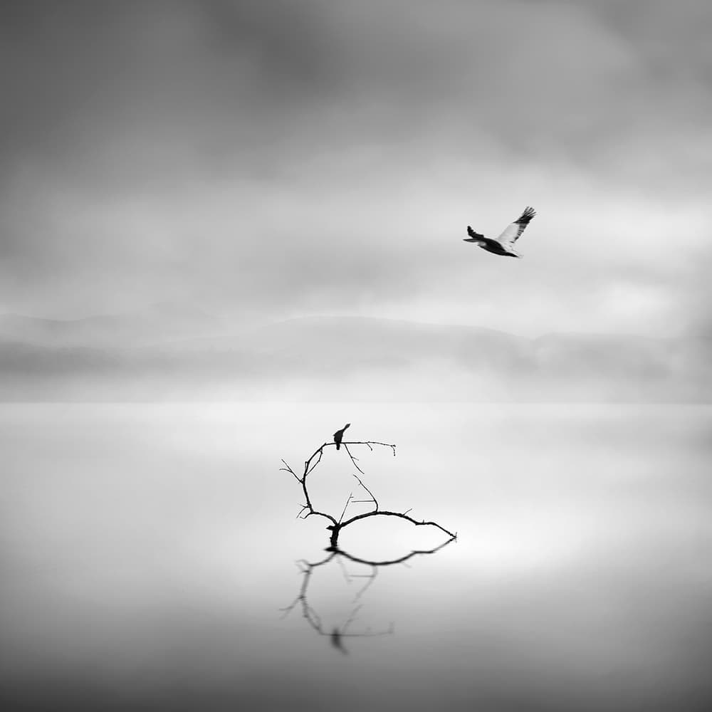 Birds Over Misty Lake by George Digalakis — canvas wall art