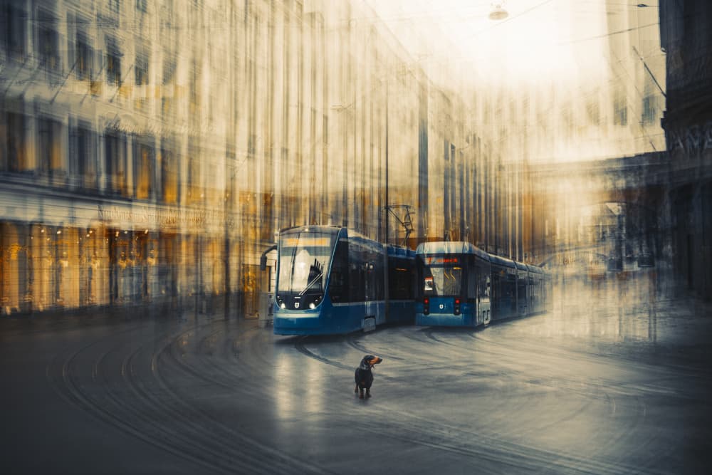 Dreamy Dog City Trams by Heike Willers — canvas wall art