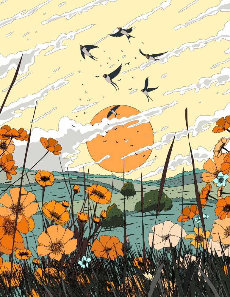 Swallows Over Wildflowers by Nicholas — canvas wall art
