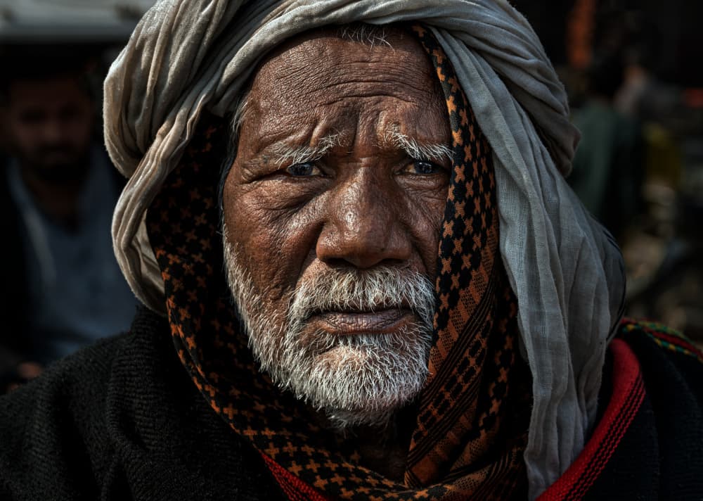 Weathered Wisdom by Joxe Inazio Kuesta Garmendia — canvas wall art