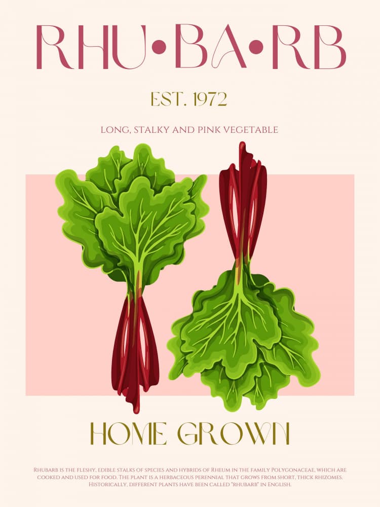 Home Grown Rhubarb by Nazma Khokhar — canvas wall art