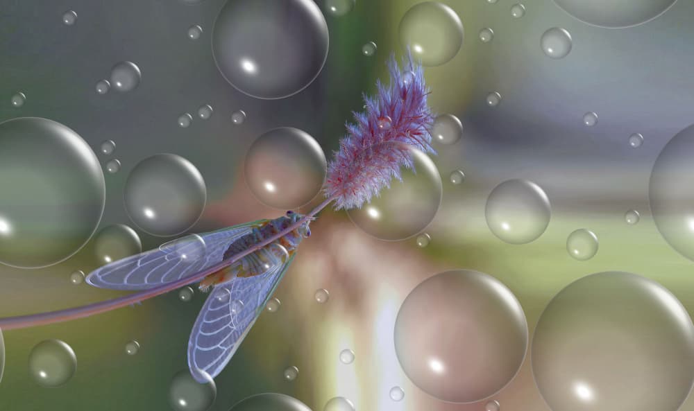 Dreamy Cicada Bubbles by Thierry Dufour — canvas wall art