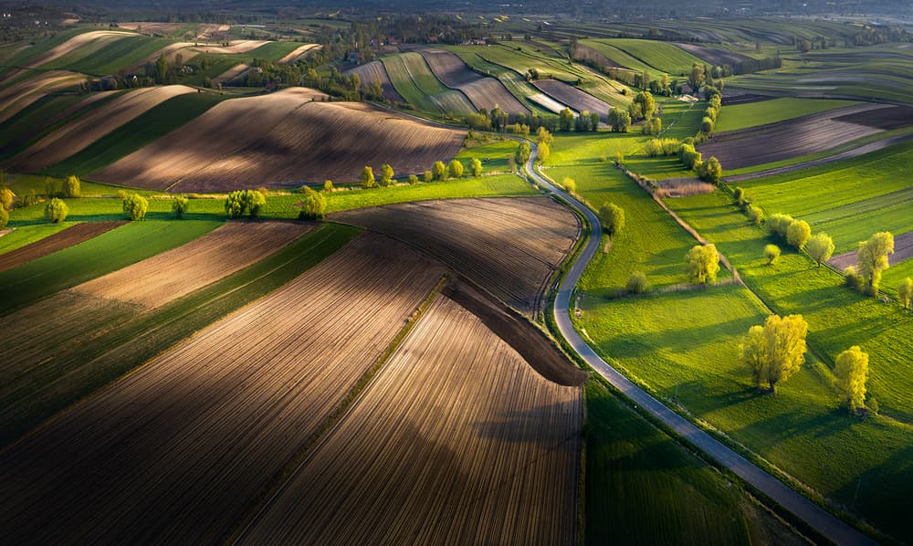Winding Road Through Green Fields by Karol Nienartowicz — canvas wall art
