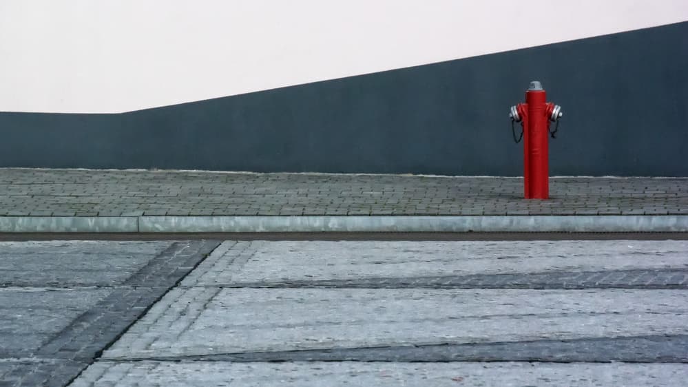 Bold Red Hydrant by Lus Joosten — canvas wall art