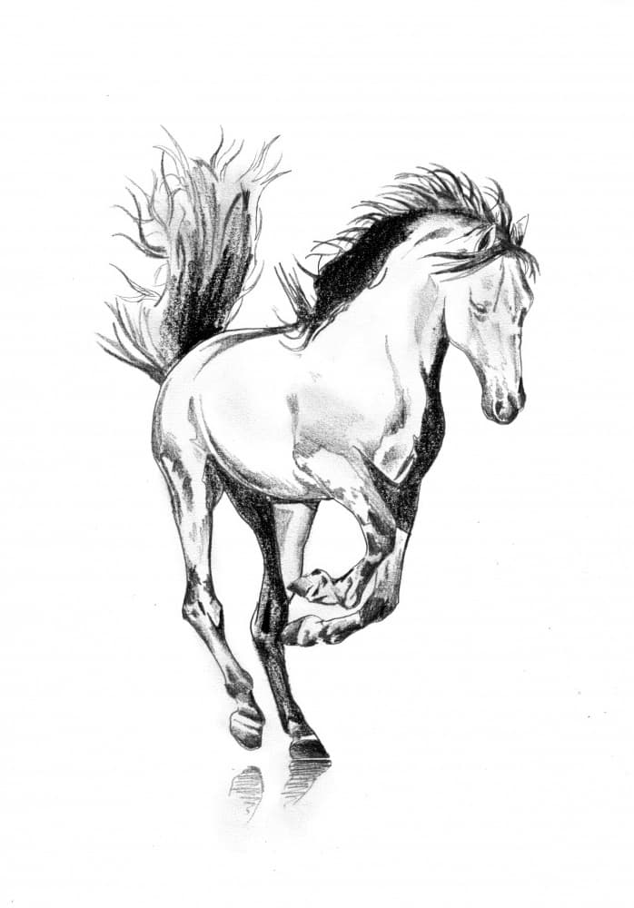 Galloping Horse Sketch by Kulik — canvas wall art