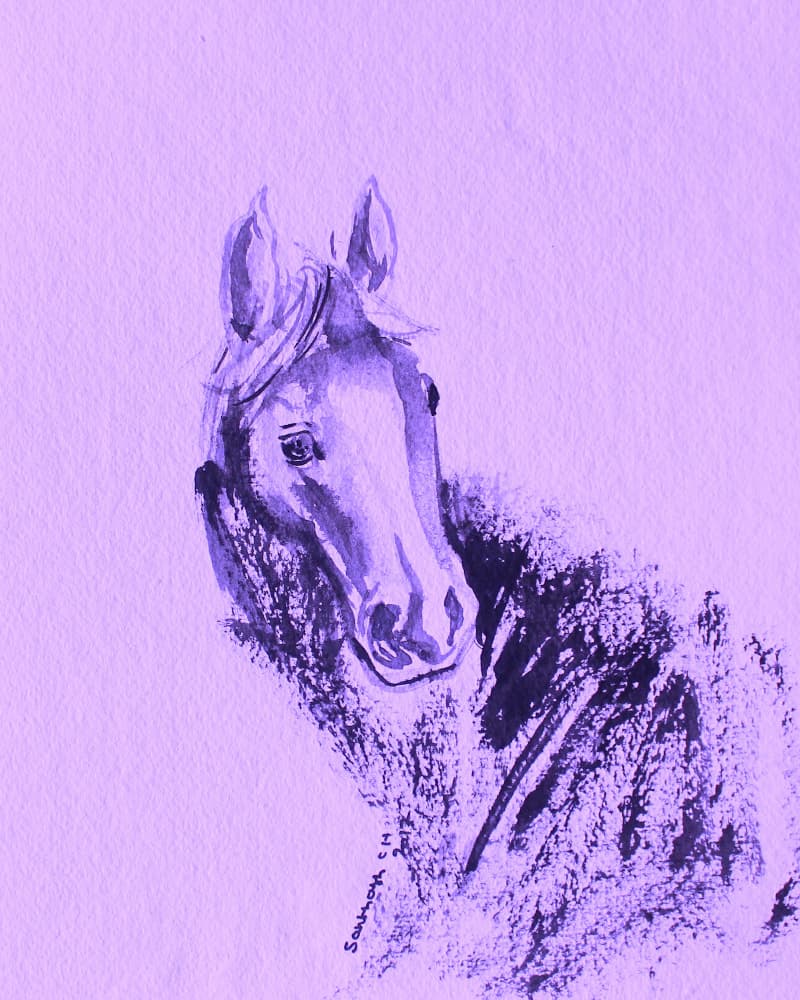 Purple Horse Portrait by Santhosh ch — canvas wall art