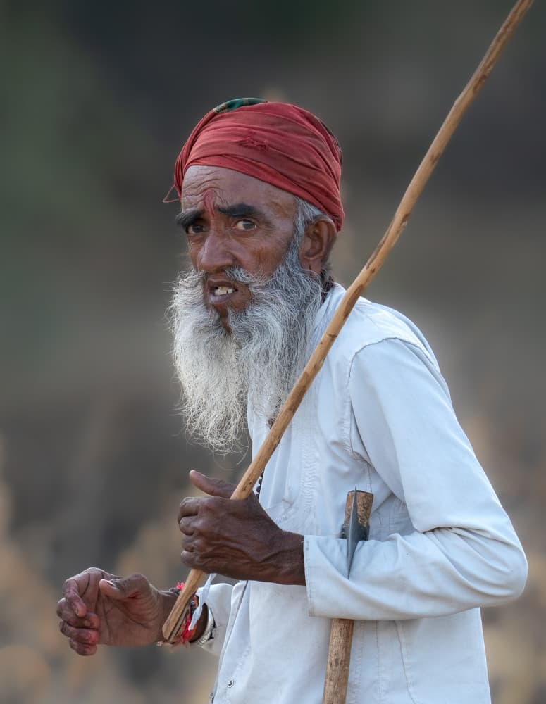 The Shepherd by Rajat Dhesi — canvas wall art