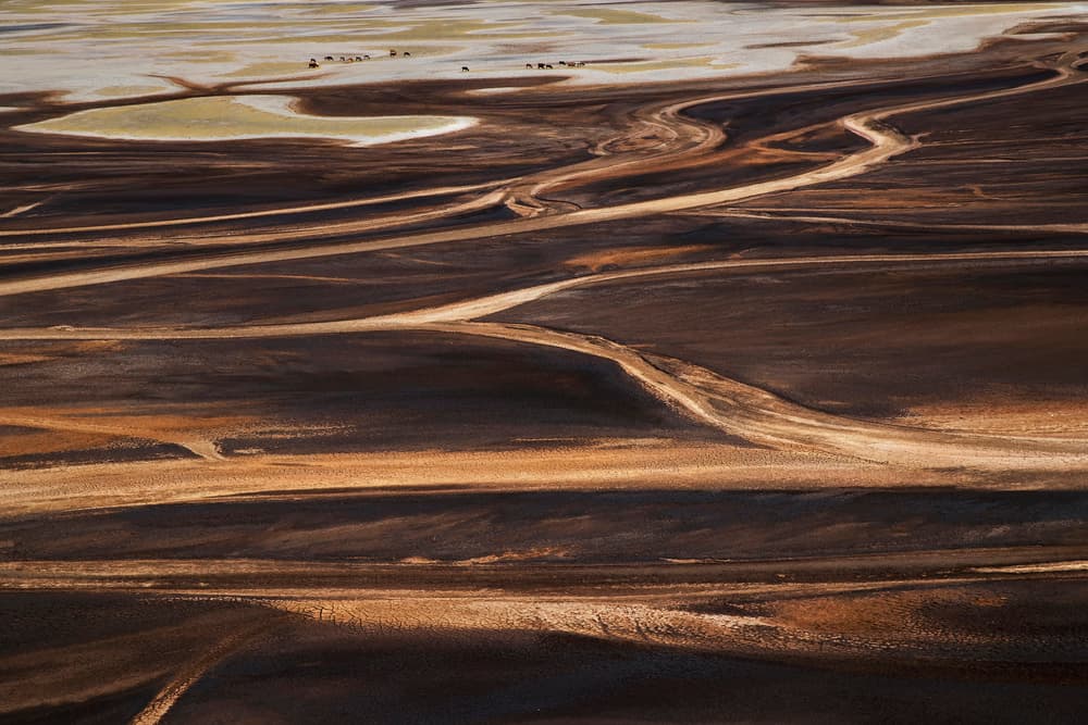 Winding Earth Patterns by Phillip Chang — canvas wall art
