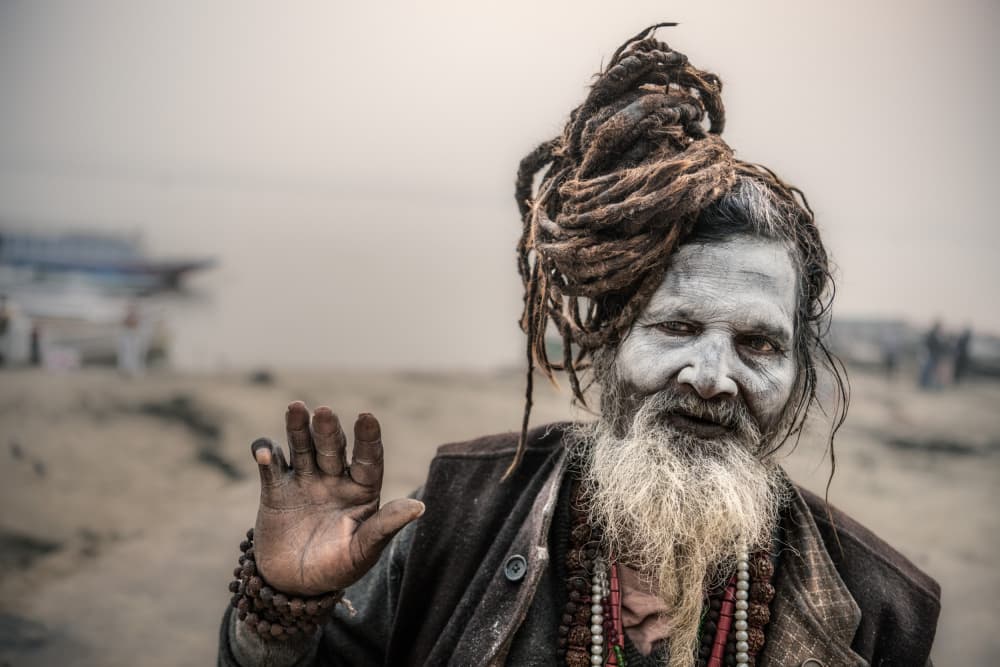 Wise Indian Sadhu Portrait by Trevor Cole — canvas wall art