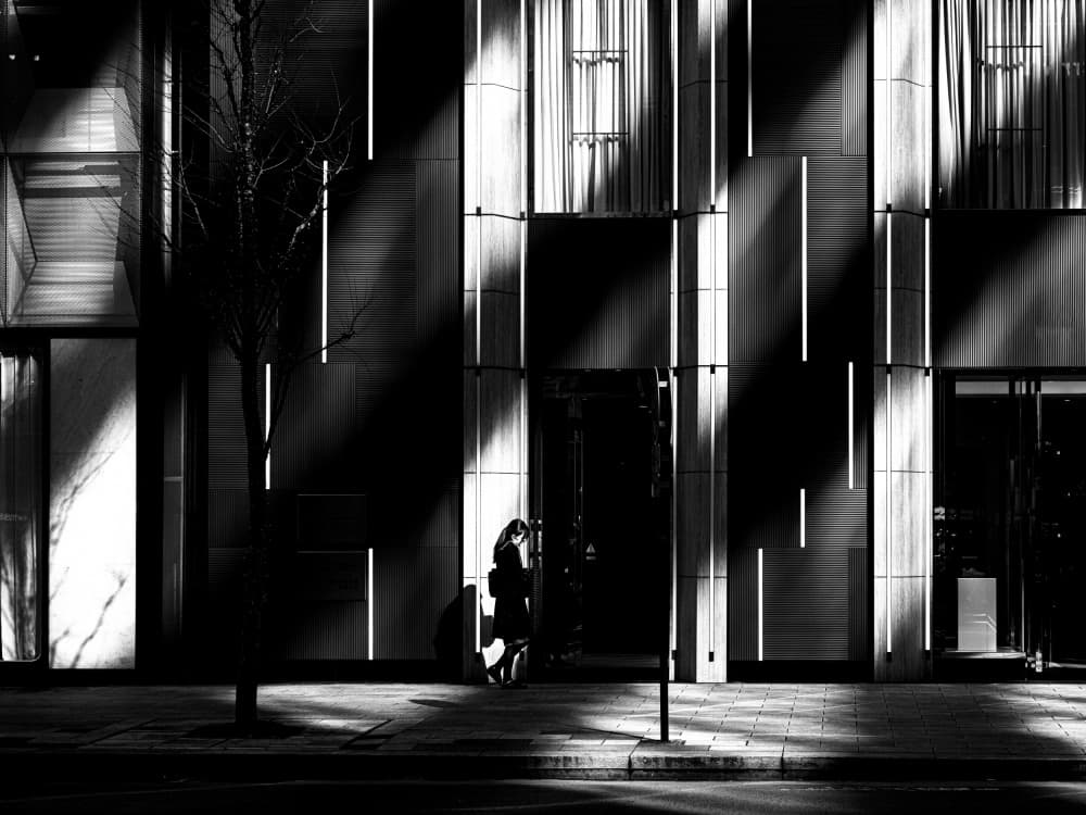 Woman in Dramatic Light by Yuzo Fujii — canvas wall art