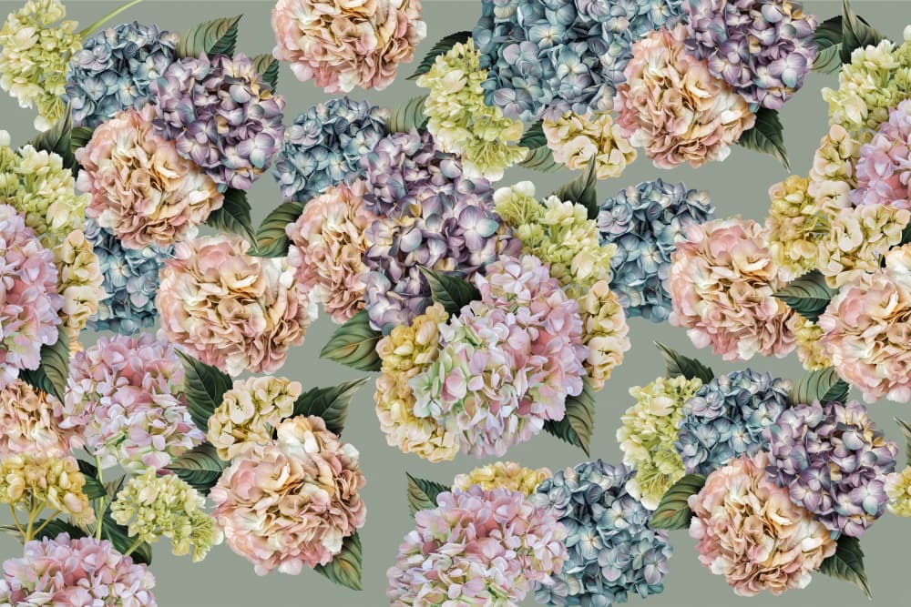 Delicate Pastel Hydrangeas by Sue Skellern — canvas wall art