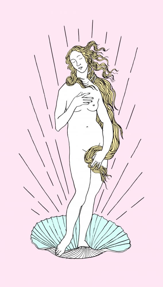 Modern Pink Venus by Robert Farkas — canvas wall art