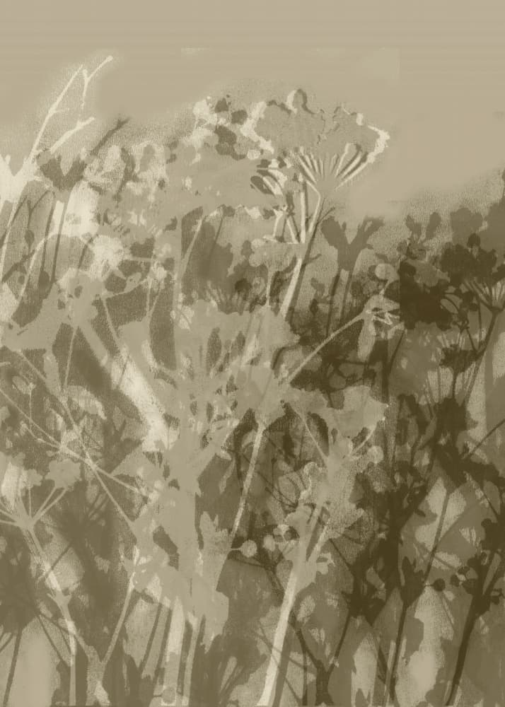 Dreamy Botanical Silhouettes by Dina Dankers — canvas wall art