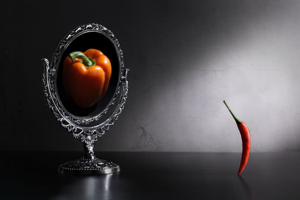 Chili Pepper Reflection by Victoria Glinka — canvas wall art
