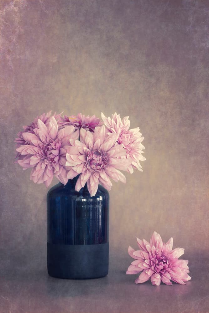 Gentle Pink Floral Still Life by Cicek Kiral — canvas wall art