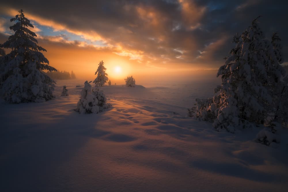 Winter Sunset Glow by Ole Henrik Skjelstad — canvas wall art