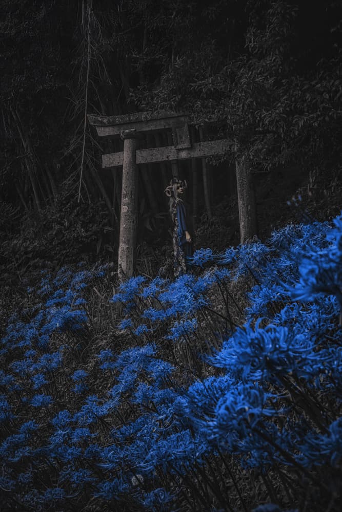 Mysterious Torii Blue Flowers by KOIKI — canvas wall art