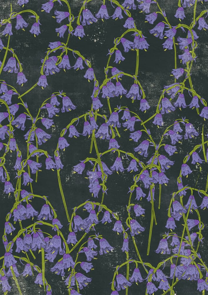Wild Bluebells Flow by Nicholas — canvas wall art