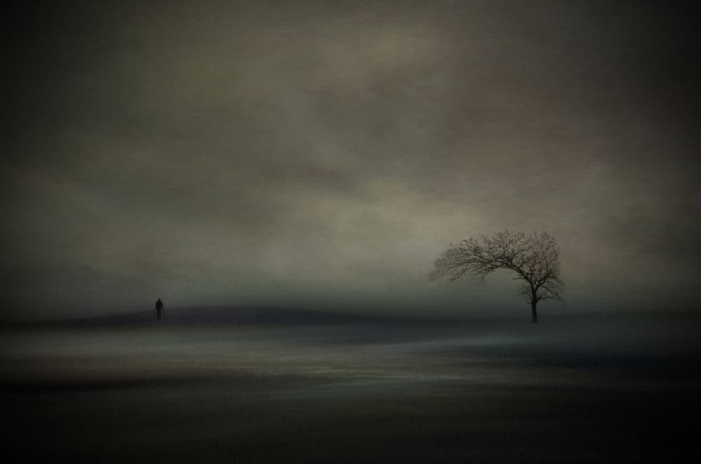 Misty Landscape Solitude by Orkidea W. — canvas wall art