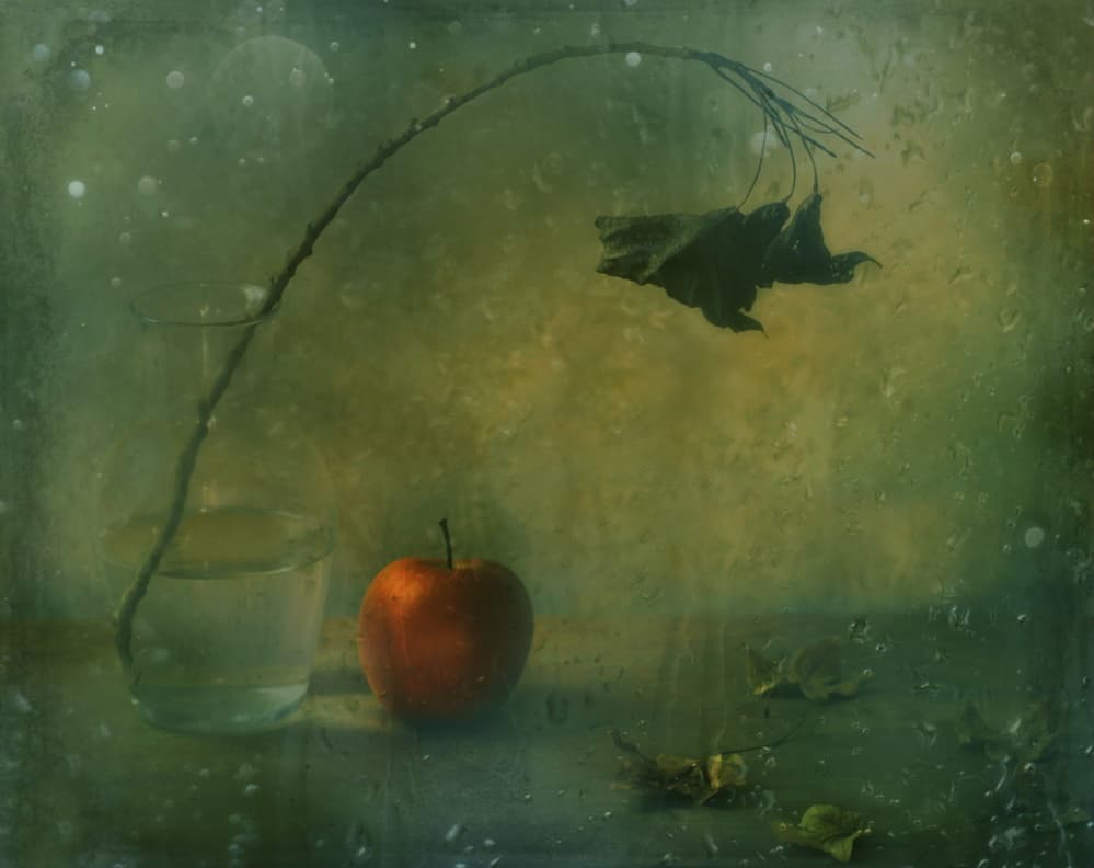 Moody Red Apple Still Life by Delphine Devos — canvas wall art