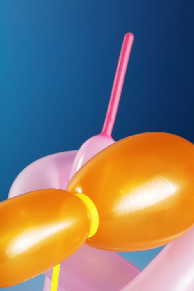Playful Balloon Animals by Julia Ramiro — canvas wall art
