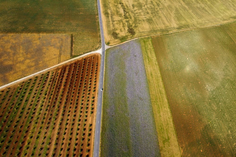 Patchwork Farm Fields by Primož Kožuh — canvas wall art
