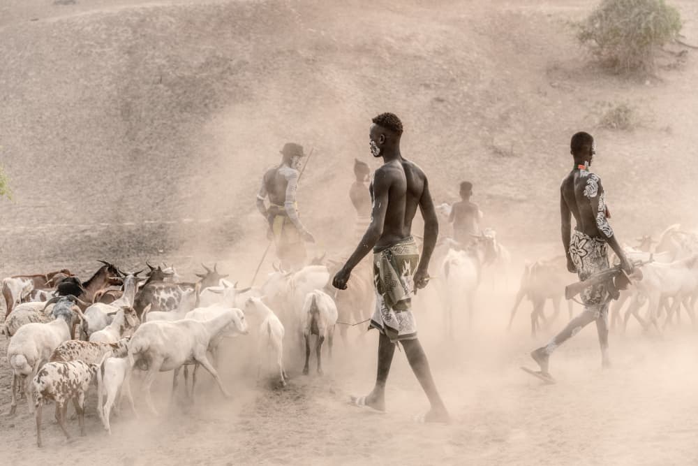 African Men Herding Goats by Trevor Cole — canvas wall art