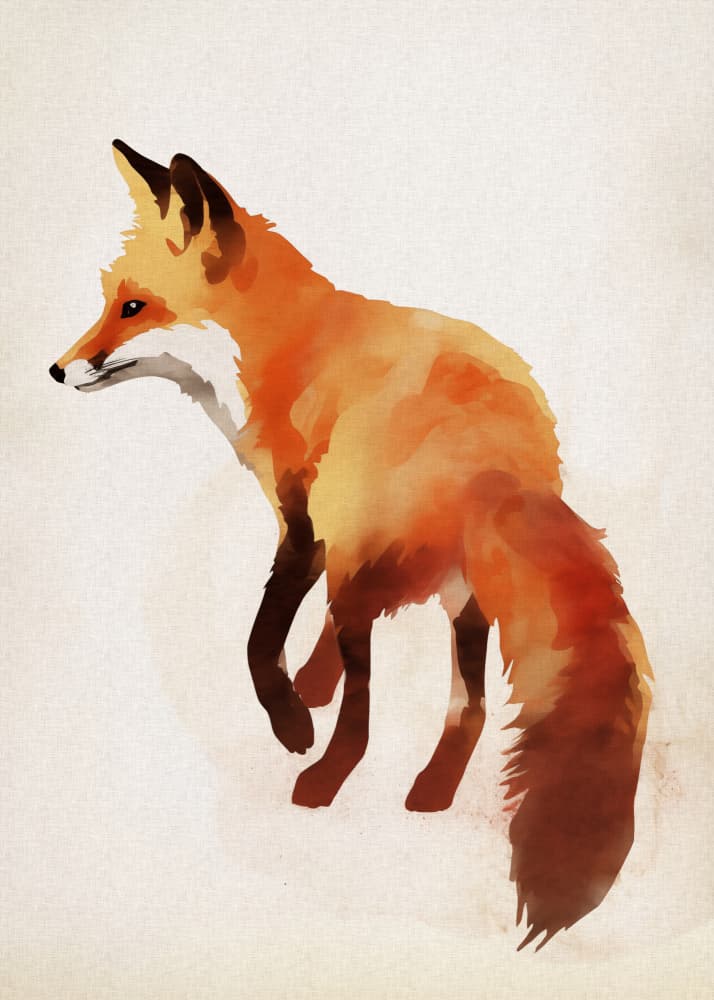 Red Fox Illustration by Andreas Magnusson — canvas wall art