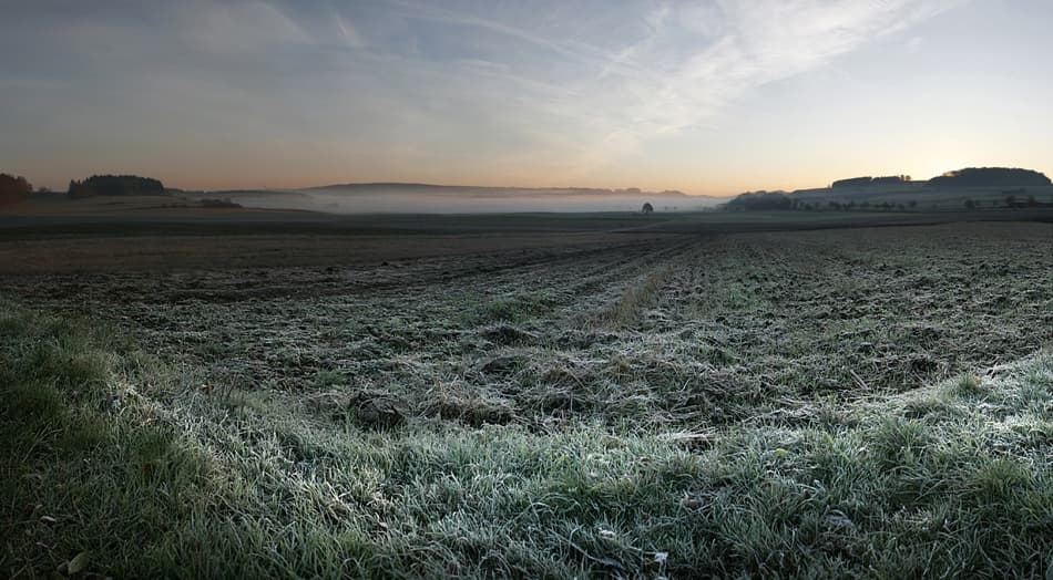 Misty Winter Dawn by Nicolas Schumacher — canvas wall art