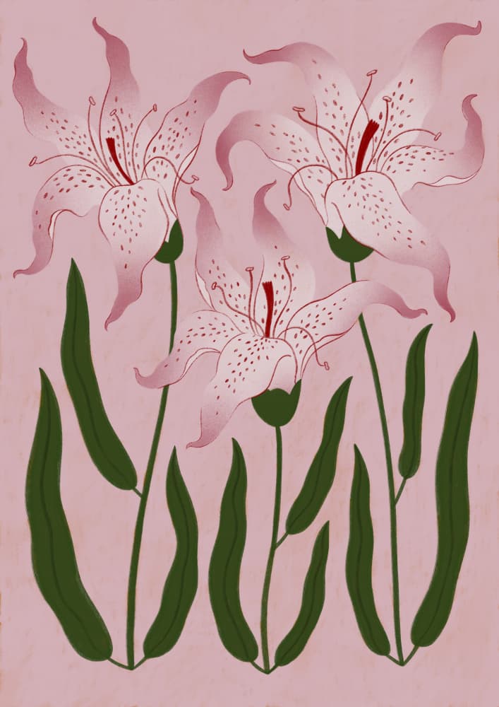 Botanical Pink Lilies