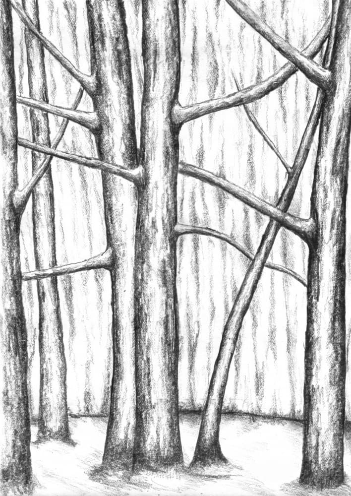 Bare Winter Trees by Kulik — canvas wall art