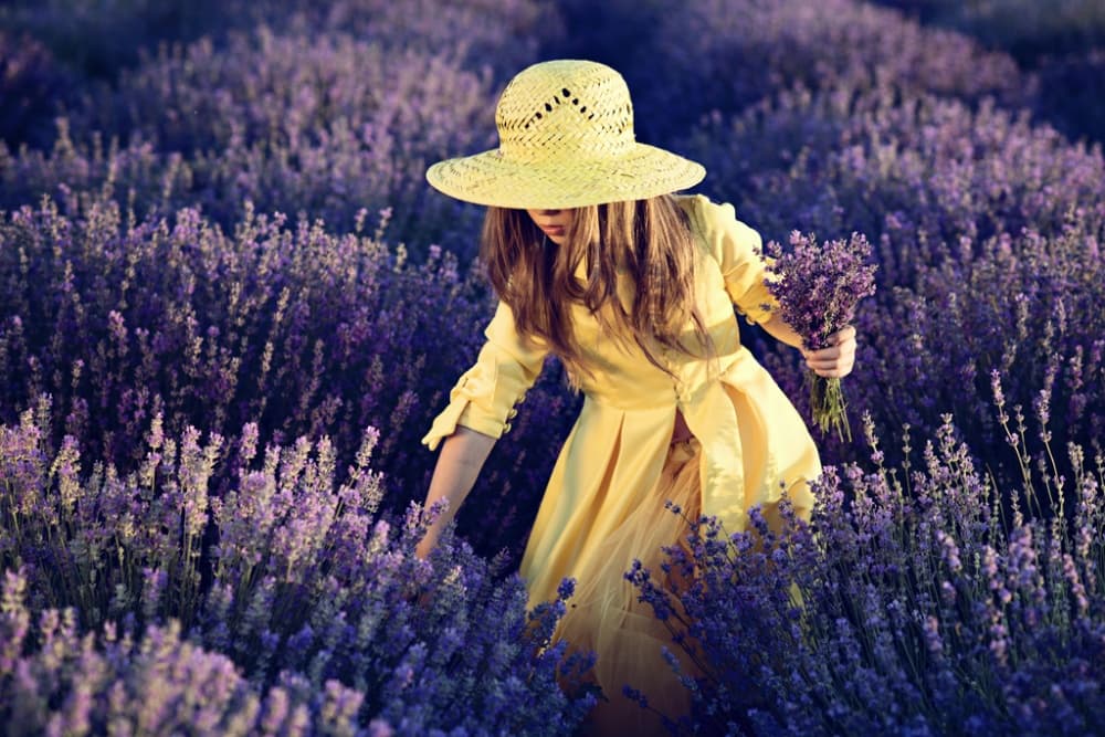 Yellow Dress Lavender Field by Elena Karagyozova — canvas wall art