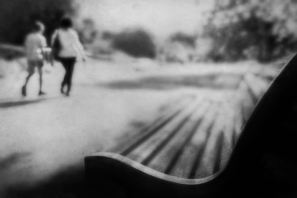 Distant Park Stroll by Nicodemo Quaglia — canvas wall art