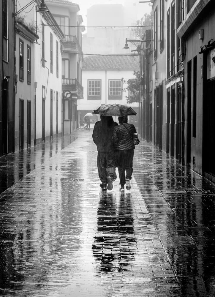 Rainy Street Reflections by Montserrat Alviani — canvas wall art