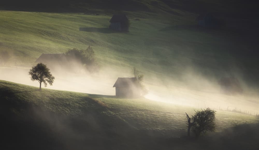 Misty Morning Hills by Remo Daut — canvas wall art