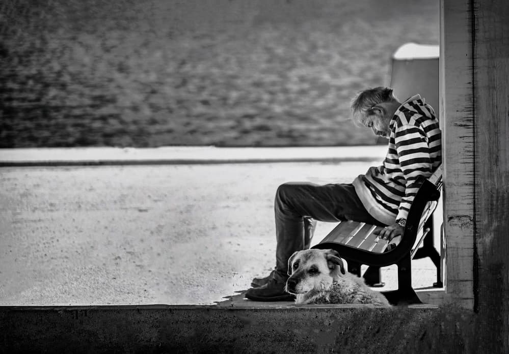 Quiet Companionship by Ömer Ates Kızıltug — canvas wall art