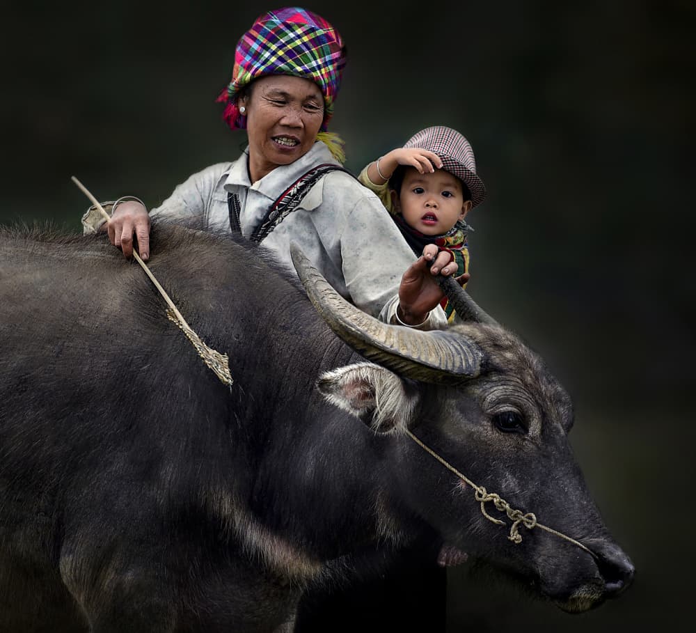 Woman Child Buffalo Journey by Irene Perovich — canvas wall art
