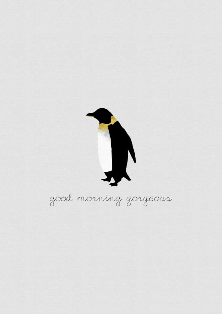 Good Morning Penguin by Orara Studio — canvas wall art