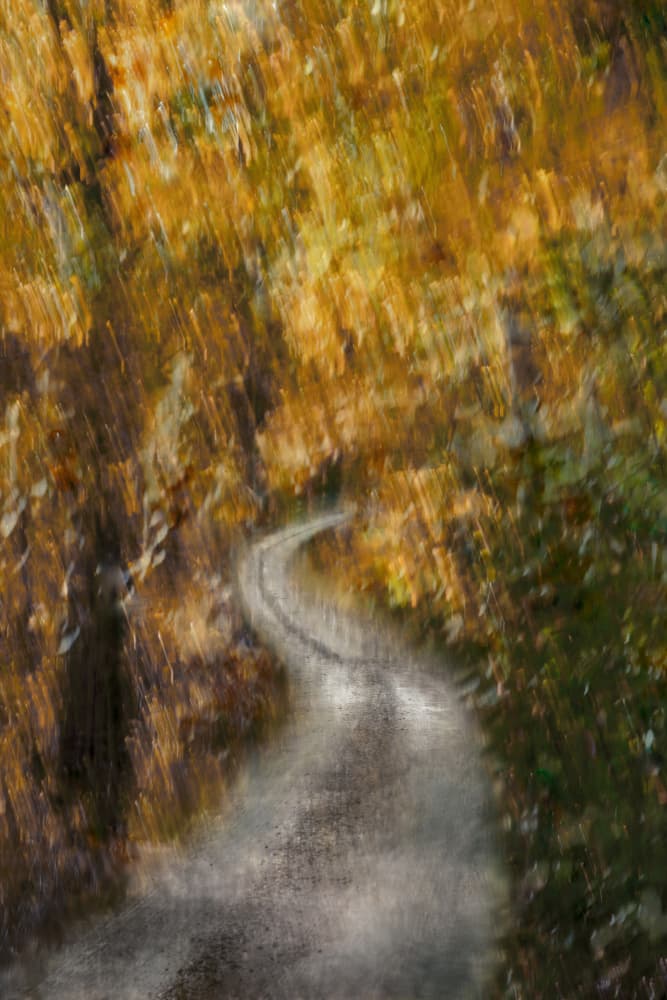 Golden Autumn Road by Christina Sillen — canvas wall art