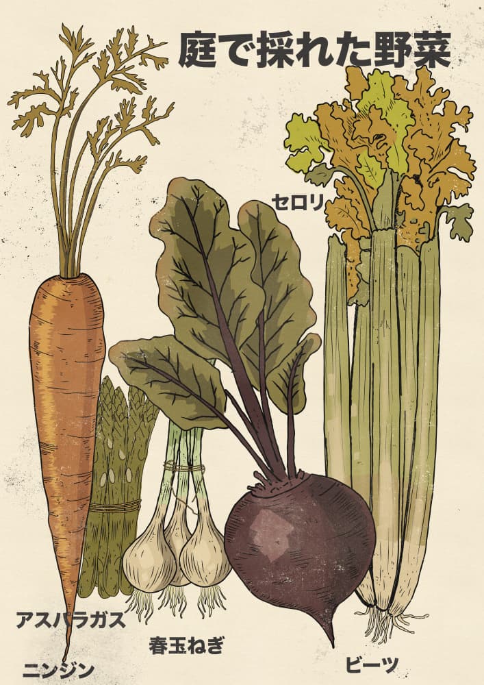 Garden Fresh Vegetables by Nicholas — canvas wall art