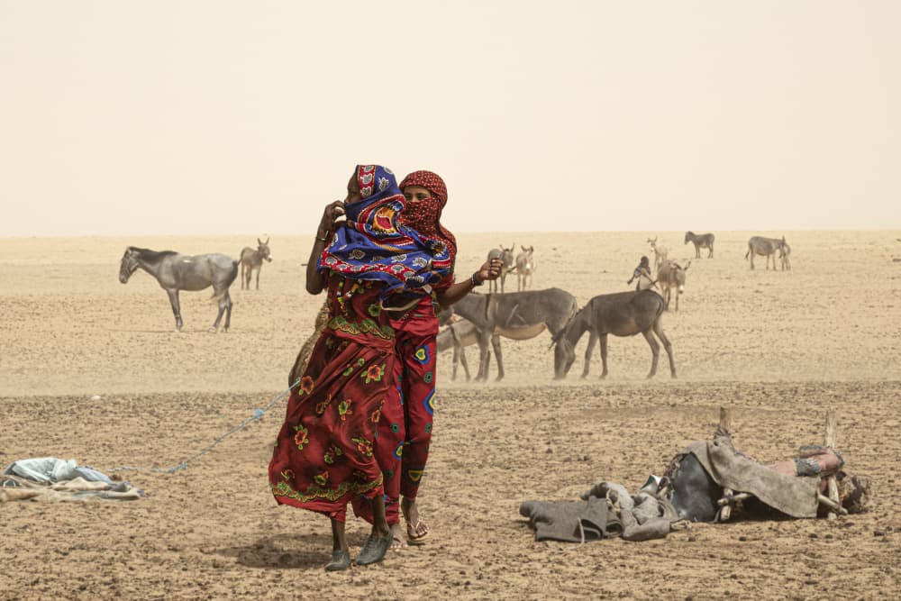 Desert Women and Donkeys by Elena Molina — canvas wall art