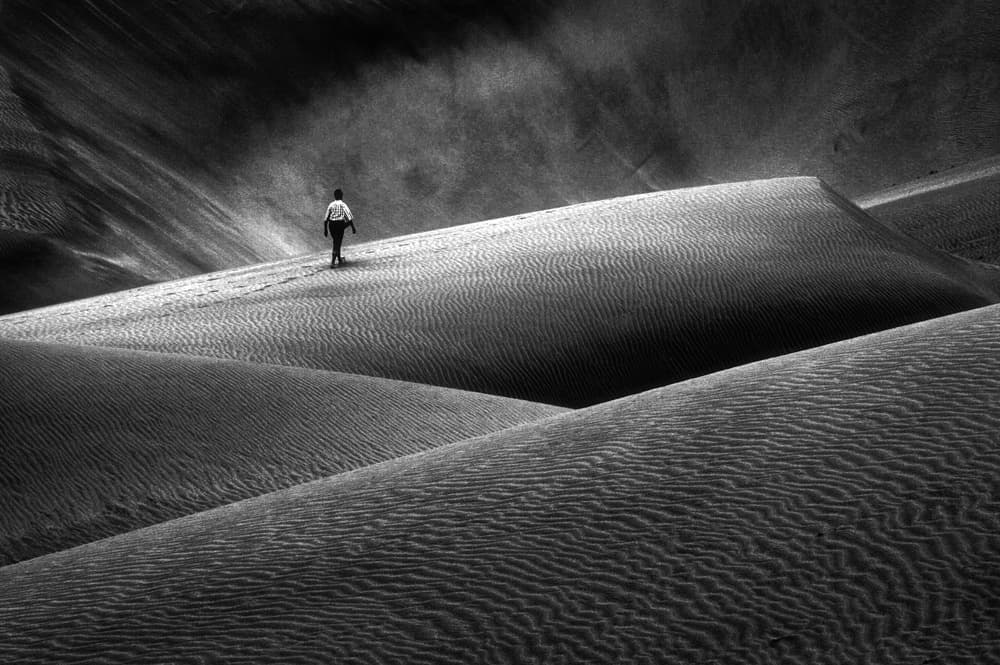 Solitary Dune Walker by Hans-Wolfgang Hawerkamp — canvas wall art