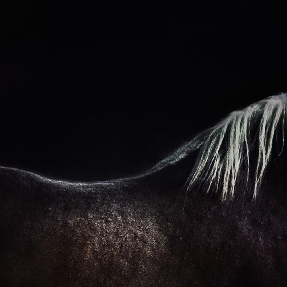 Majestic White Mane Horse by Piet Flour — canvas wall art