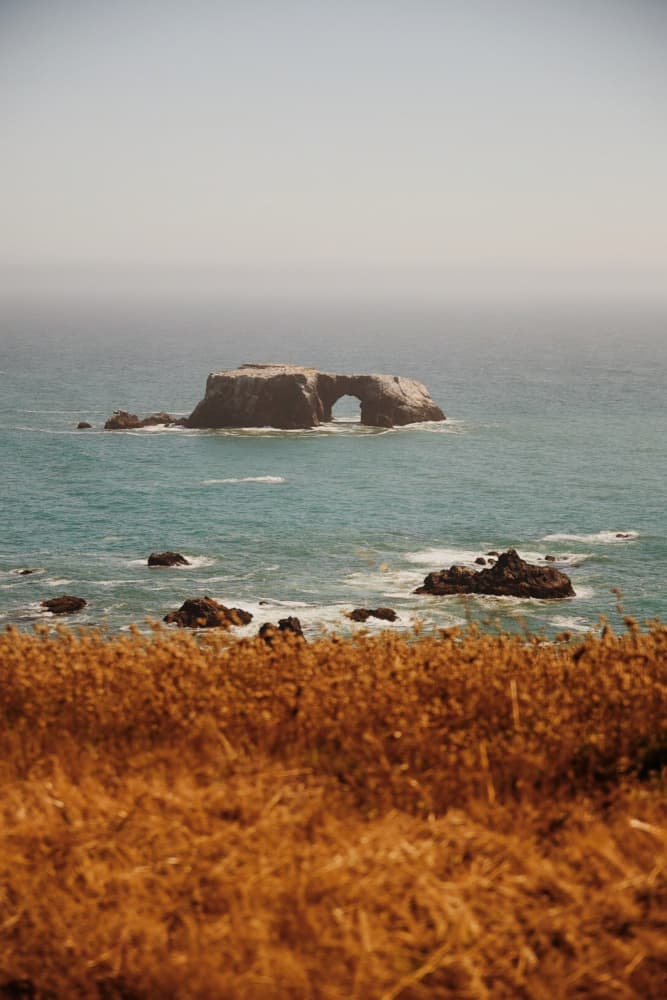 Golden Grass Sea Arch by Del Mundo Portraits — canvas wall art