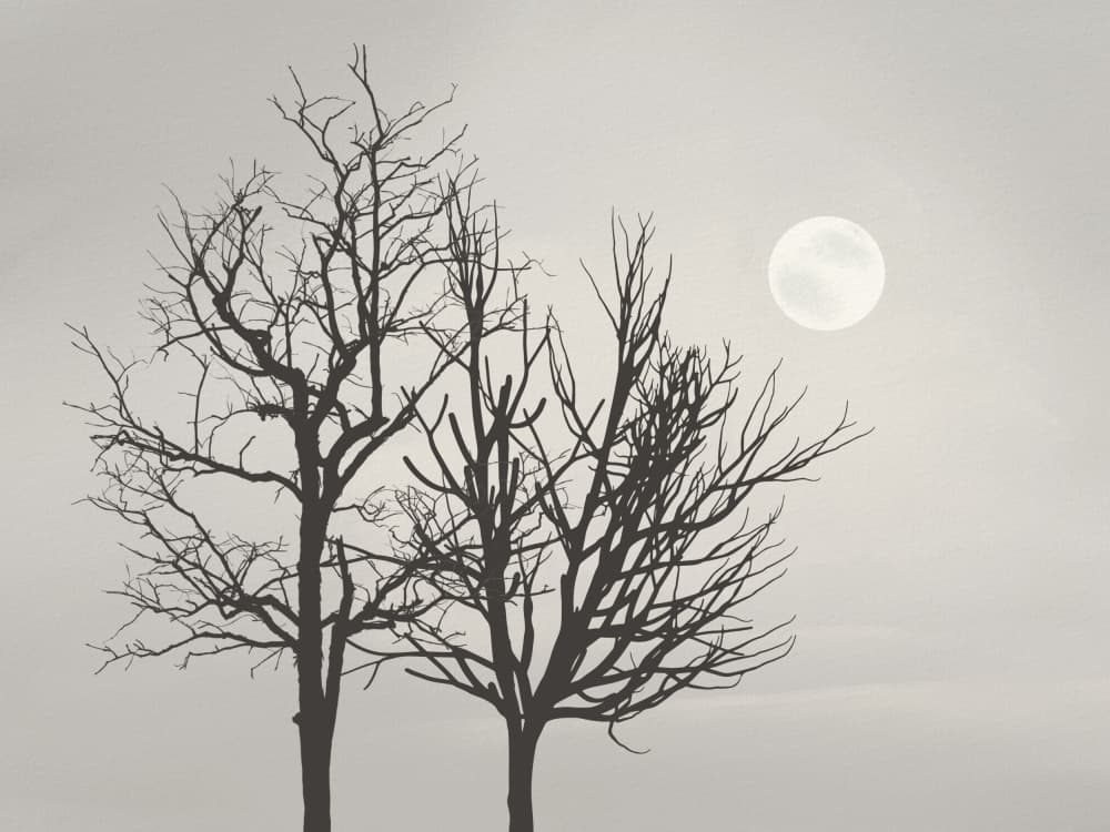 Serene Moonlit Trees by Little Dean — canvas wall art