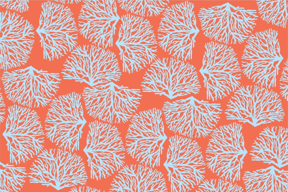 Vibrant Coral Branches by Sue Skellern — canvas wall art